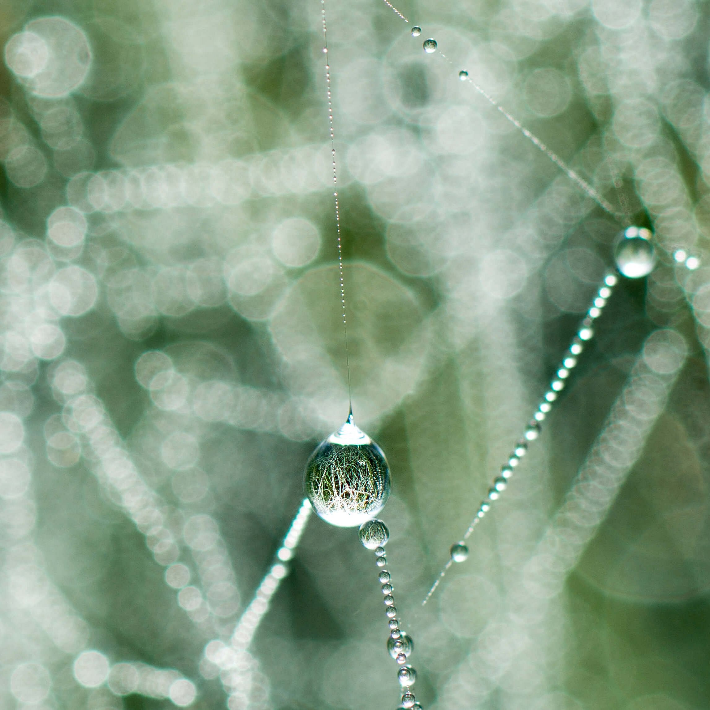 Ein Nahaufnahme von Tautropfen, die an einem Spinnennetz hängen. Die Tropfen zeigen eine glitzernde, reflektierende Oberfläche und sind umgeben von verschwommenen, sanften Hintergrundfarben, die den Eindruck von Morgentau erzeugen.