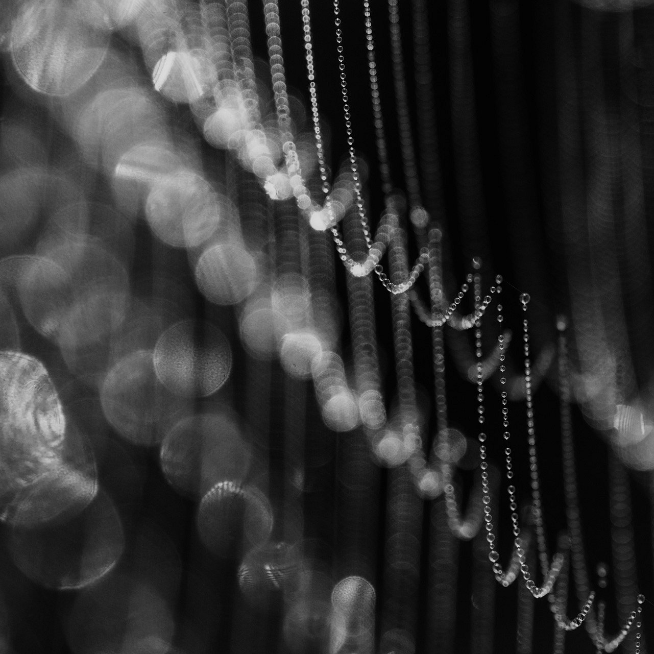 20190929-DSC06373-Bearbeitet