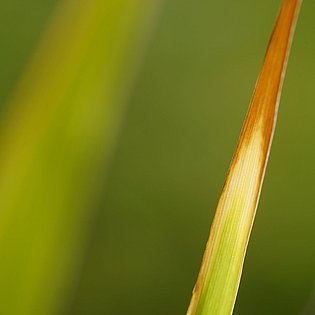 20200919-DSC00012
