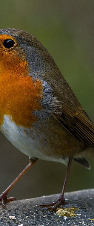 20201130-DSC01344