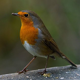 20201130-DSC01344