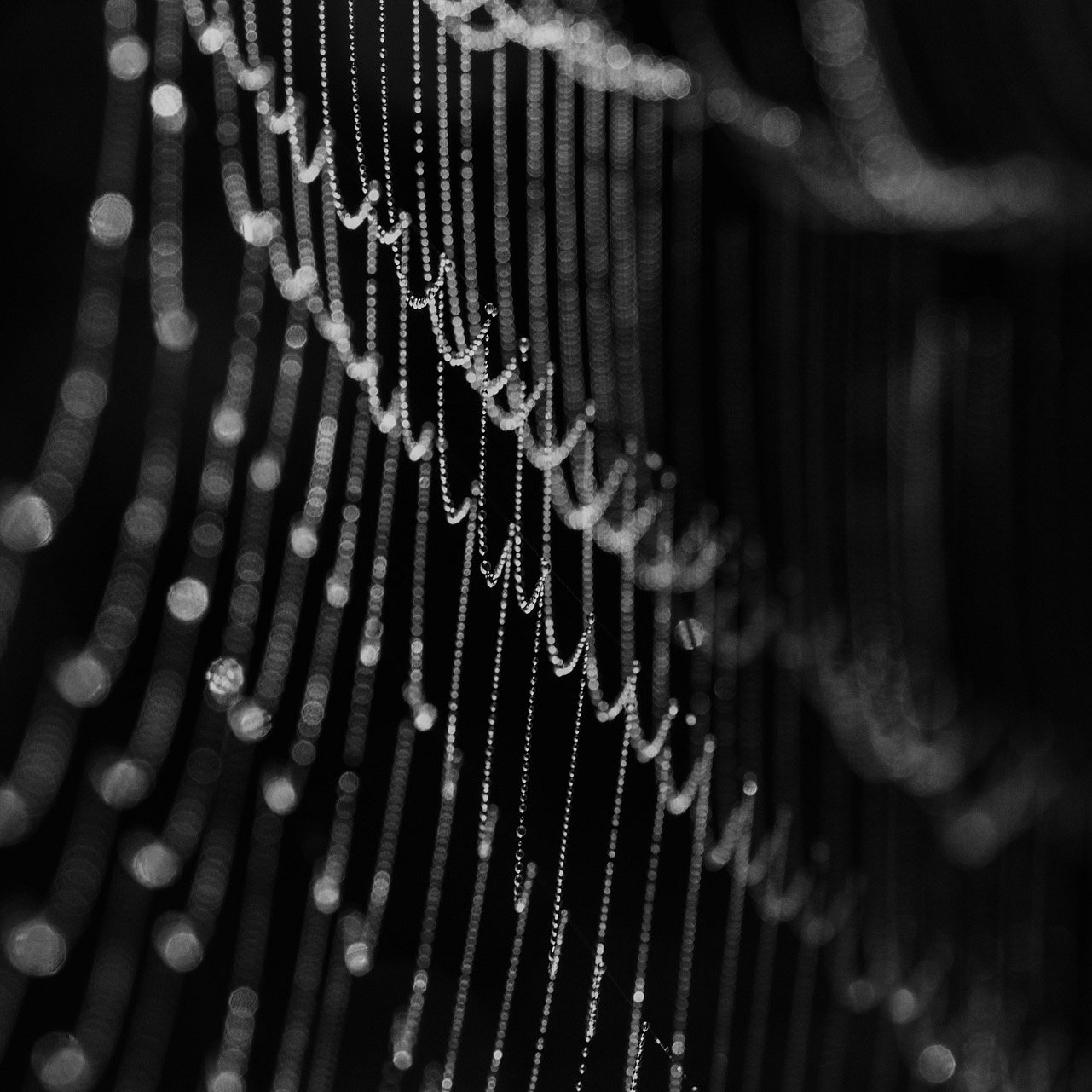 20190929-DSC06370-Bearbeitet