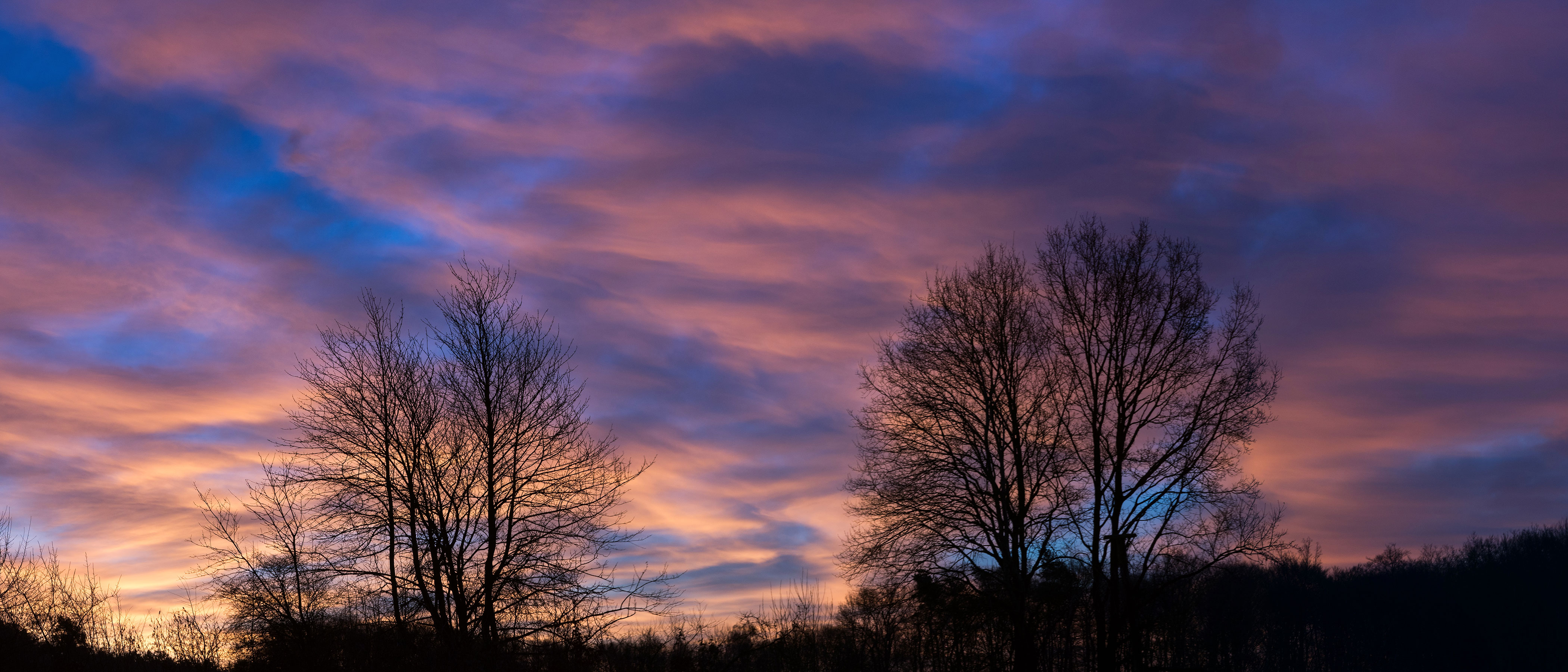 20140205-DSC08813 stitch