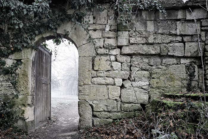 AdobeStock 290206995