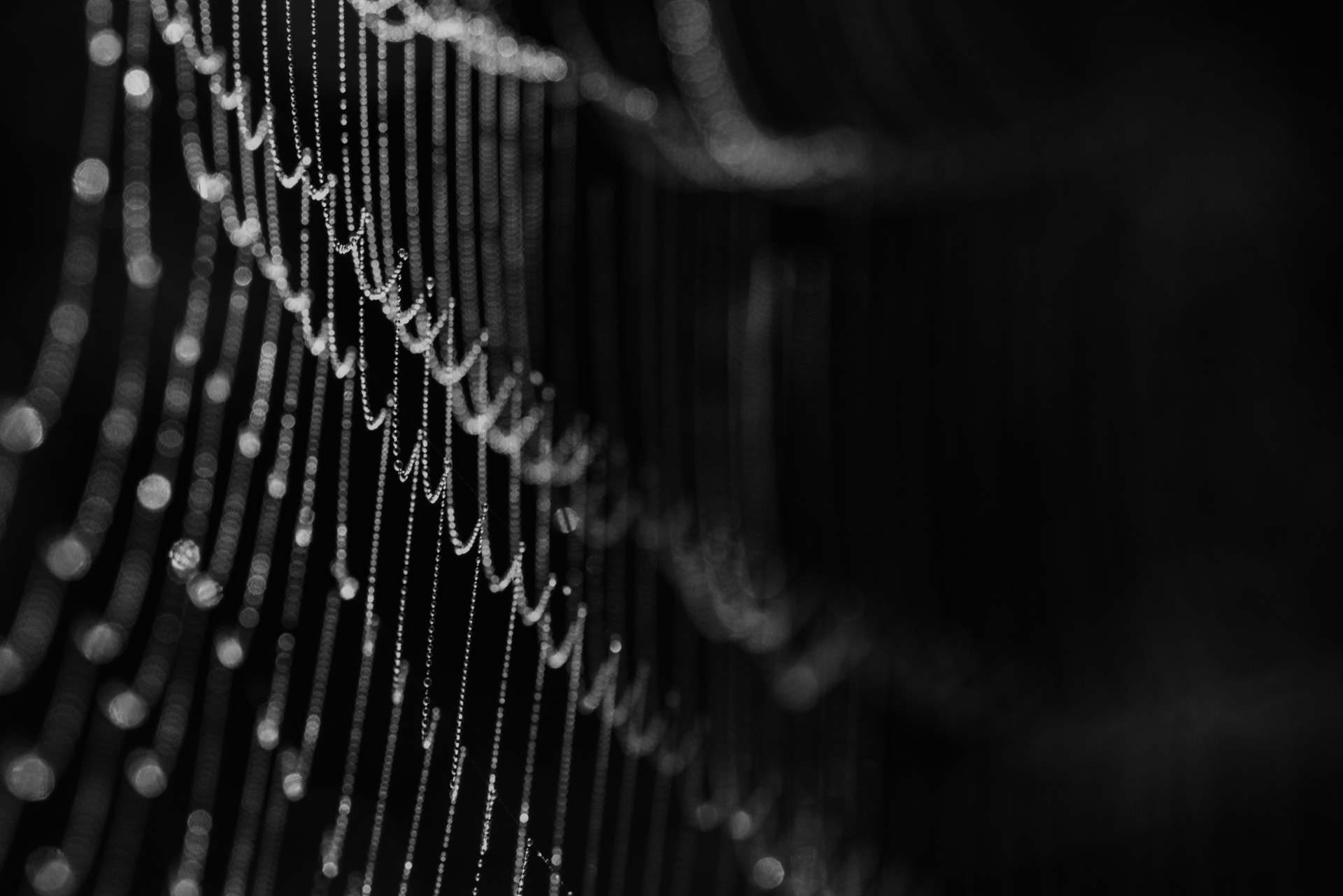 20190929-DSC06370-Bearbeitet